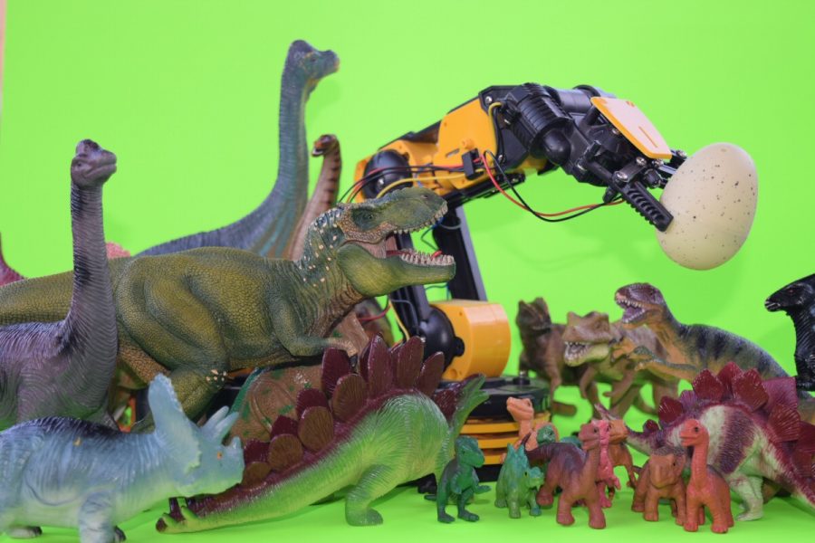 Dinosaur Egg hunt - Animal Fun for Everyone (AFFE)