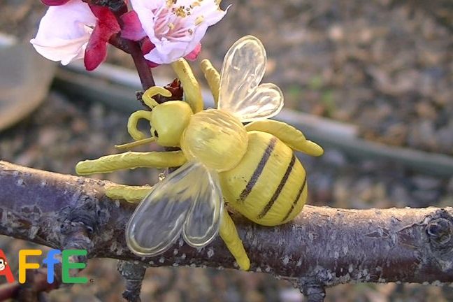 Learn about bugs from toy and real bugs -  Animal Fun for Everyone (AFFE)